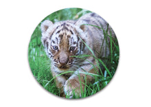 Load image into Gallery viewer, Tiger jigsaw puzzle 56 pieces

